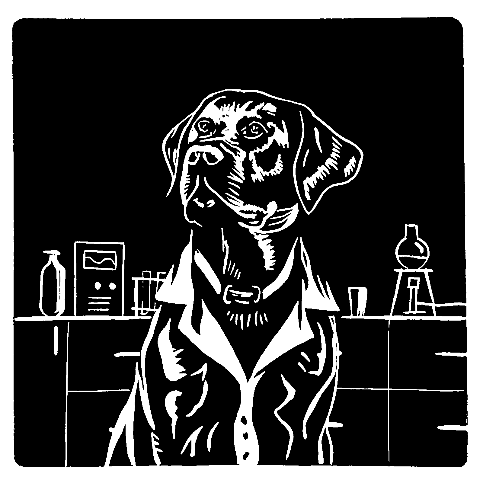 Lab in a Lab in a Labcoat